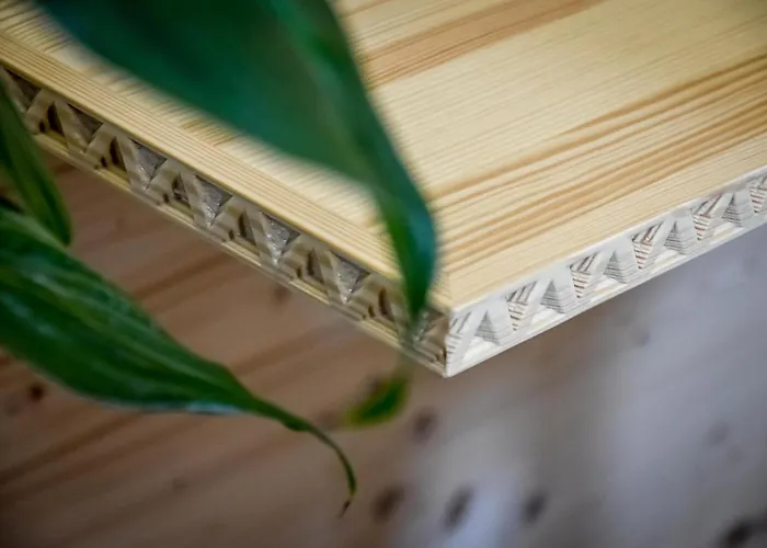 & Gran Tatr 公寓 扎科帕内